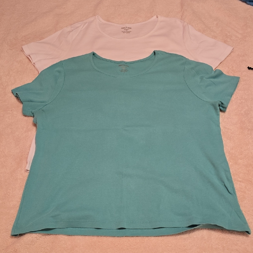 White Stag Women's Short Sleeve Tees - White and Teal